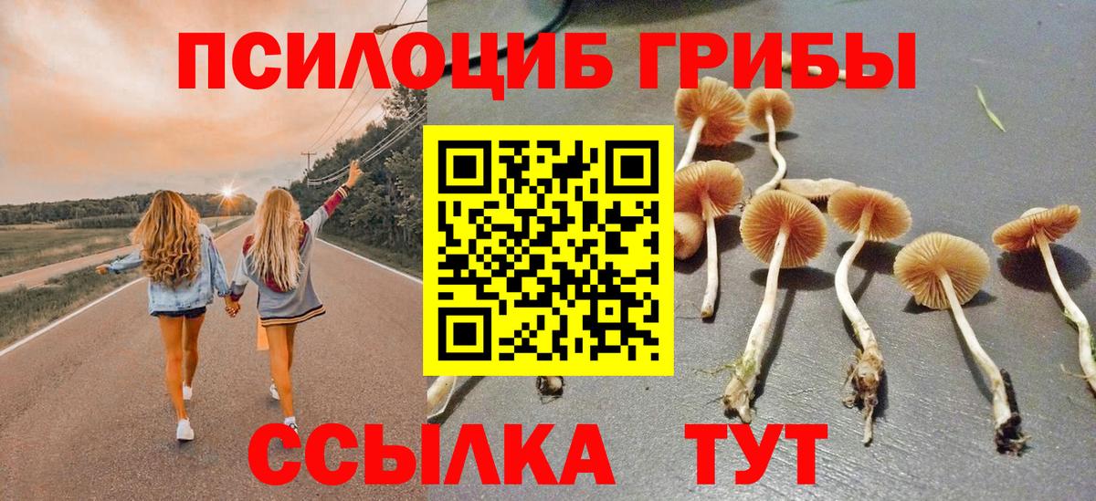 Псилоцибиновые грибы ЛСД  Вход с VPN  где купить наркотик  Крымск 